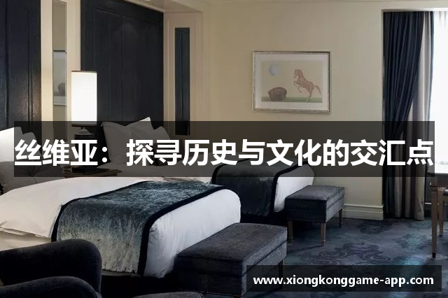 丝维亚：探寻历史与文化的交汇点