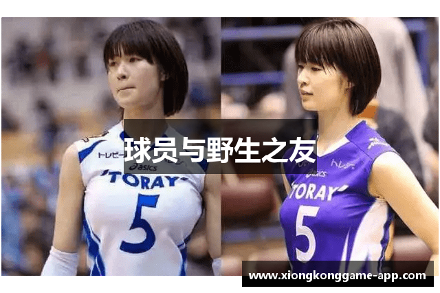 球员与野生之友