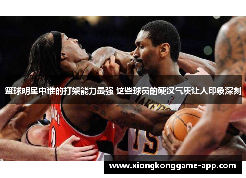 篮球明星中谁的打架能力最强 这些球员的硬汉气质让人印象深刻